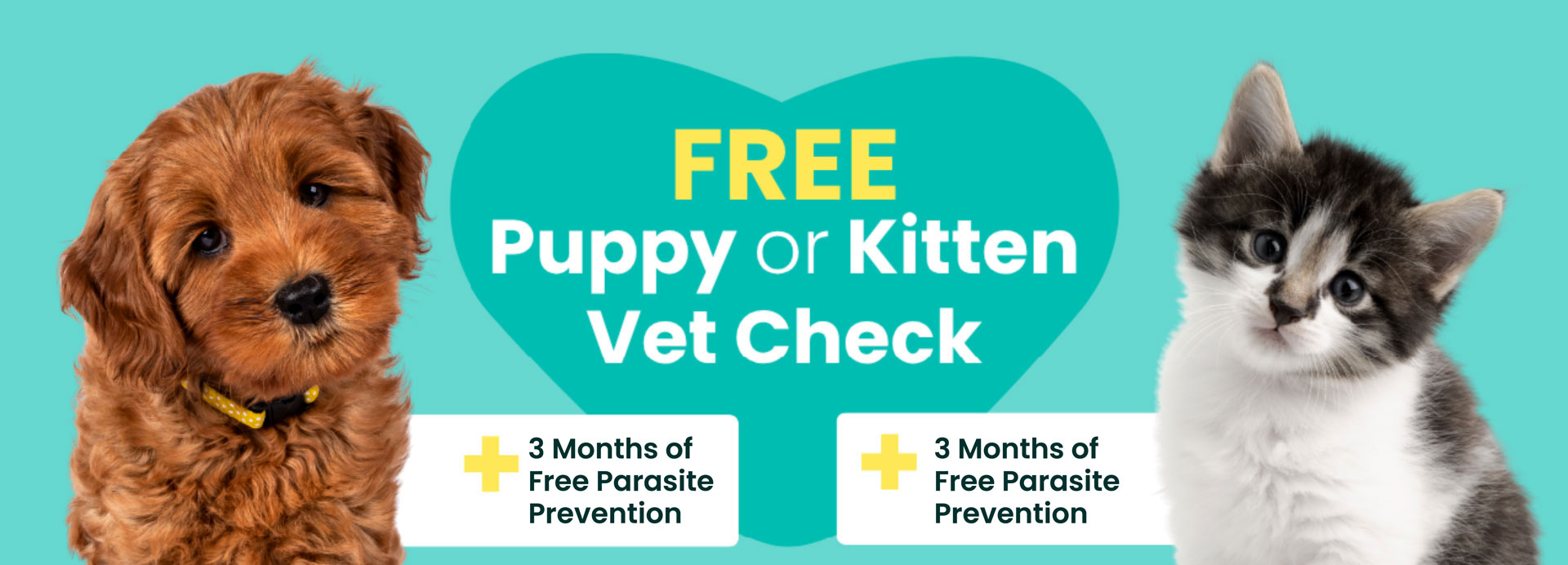 Free Puppy Kitten Checks